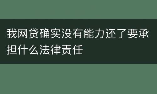 我网贷确实没有能力还了要承担什么法律责任