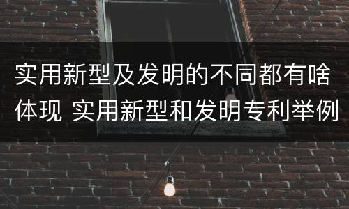 实用新型及发明的不同都有啥体现 实用新型和发明专利举例