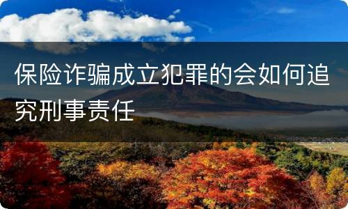 保险诈骗成立犯罪的会如何追究刑事责任
