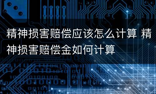精神损害赔偿应该怎么计算 精神损害赔偿金如何计算