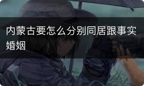 内蒙古要怎么分别同居跟事实婚姻