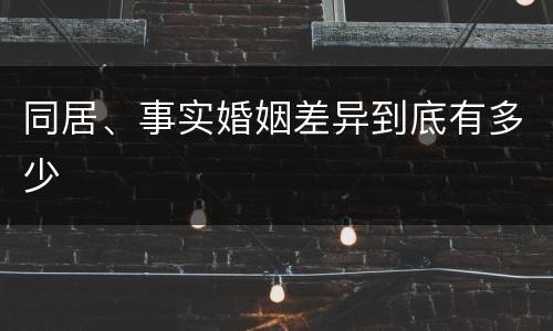 同居、事实婚姻差异到底有多少