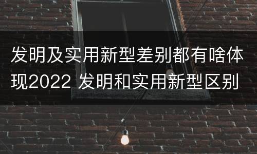 发明及实用新型差别都有啥体现2022 发明和实用新型区别