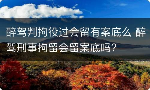 醉驾判拘役过会留有案底么 醉驾刑事拘留会留案底吗?