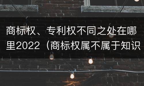 商标权、专利权不同之处在哪里2022（商标权属不属于知识产权）