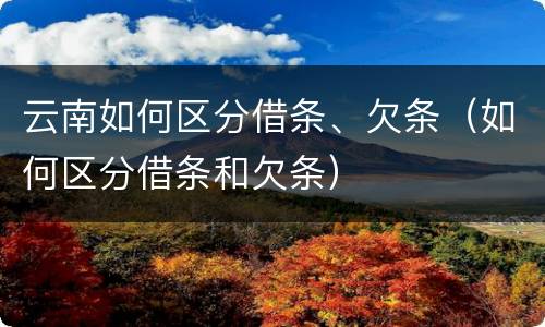 云南如何区分借条、欠条（如何区分借条和欠条）