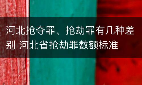 河北抢夺罪、抢劫罪有几种差别 河北省抢劫罪数额标准