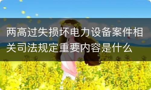 两高过失损坏电力设备案件相关司法规定重要内容是什么