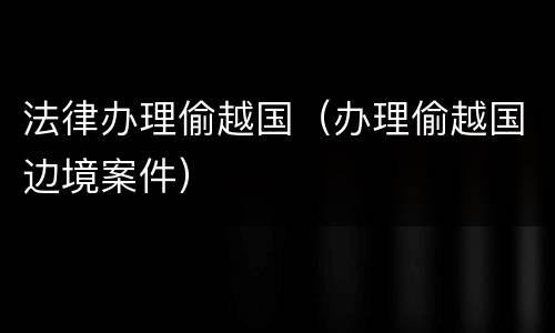 法律办理偷越国（办理偷越国边境案件）