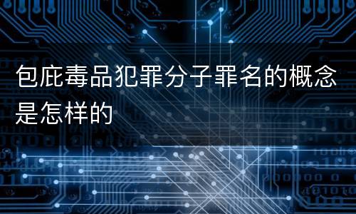 包庇毒品犯罪分子罪名的概念是怎样的