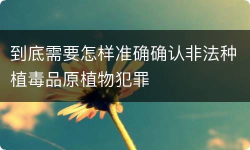 到底需要怎样准确确认非法种植毒品原植物犯罪