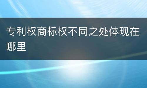 专利权商标权不同之处体现在哪里