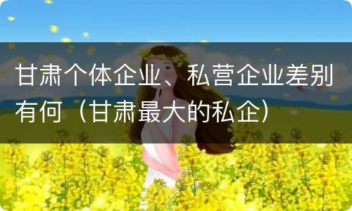 甘肃个体企业、私营企业差别有何（甘肃最大的私企）