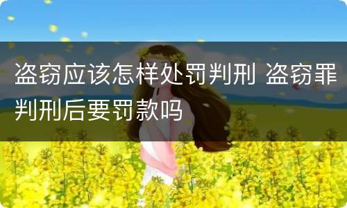 盗窃应该怎样处罚判刑 盗窃罪判刑后要罚款吗