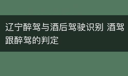 辽宁醉驾与酒后驾驶识别 酒驾跟醉驾的判定
