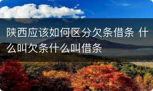 陕西应该如何区分欠条借条 什么叫欠条什么叫借条