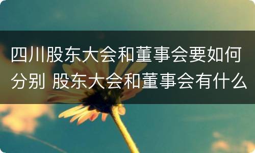四川股东大会和董事会要如何分别 股东大会和董事会有什么区别