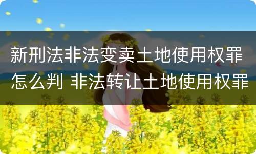 新刑法非法变卖土地使用权罪怎么判 非法转让土地使用权罪量刑