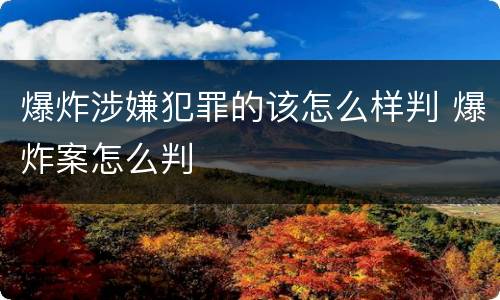 爆炸涉嫌犯罪的该怎么样判 爆炸案怎么判