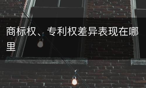 商标权、专利权差异表现在哪里