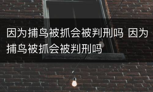 因为捕鸟被抓会被判刑吗 因为捕鸟被抓会被判刑吗