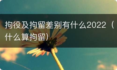 拘役及拘留差别有什么2022（什么算拘留）