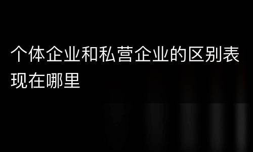 个体企业和私营企业的区别表现在哪里