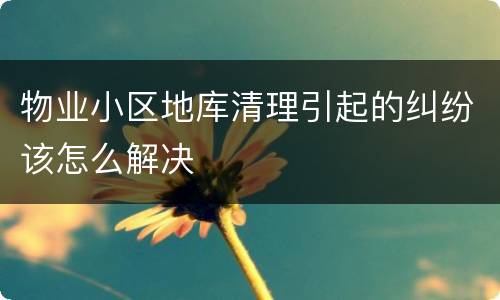 物业小区地库清理引起的纠纷该怎么解决