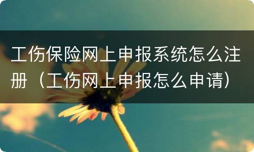 工伤保险网上申报系统怎么注册（工伤网上申报怎么申请）