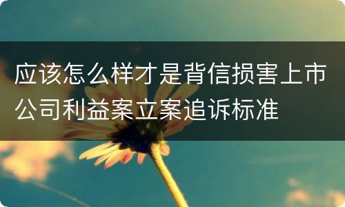 应该怎么样才是背信损害上市公司利益案立案追诉标准