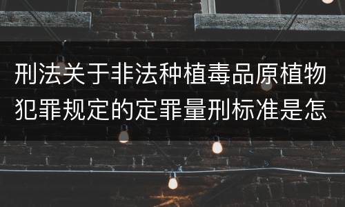 刑法关于非法种植毒品原植物犯罪规定的定罪量刑标准是怎样的