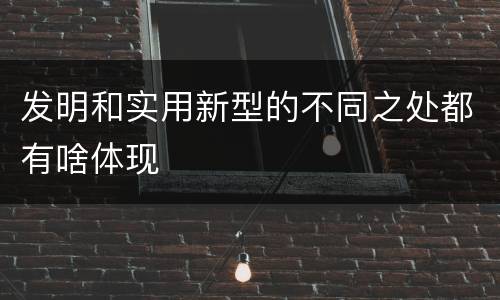 发明和实用新型的不同之处都有啥体现