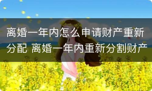离婚一年内怎么申请财产重新分配 离婚一年内重新分割财产