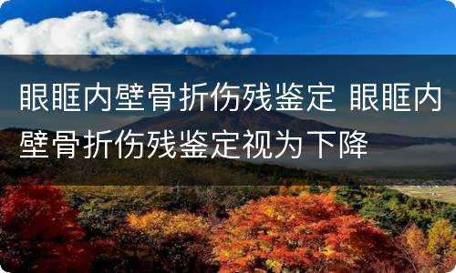 眼眶内壁骨折伤残鉴定 眼眶内壁骨折伤残鉴定视为下降