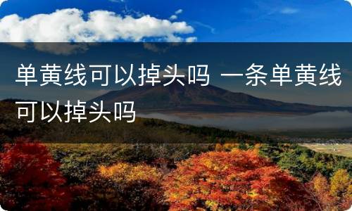 单黄线可以掉头吗 一条单黄线可以掉头吗