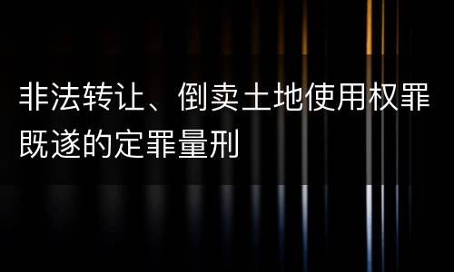 非法转让、倒卖土地使用权罪既遂的定罪量刑