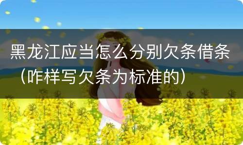 黑龙江应当怎么分别欠条借条（咋样写欠条为标准的）
