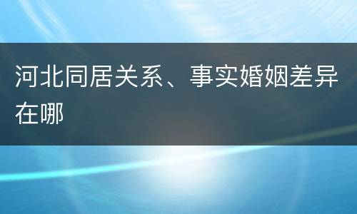 河北同居关系、事实婚姻差异在哪
