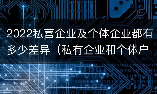 2022私营企业及个体企业都有多少差异（私有企业和个体户一样吗）