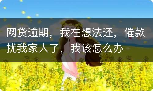 网贷逾期，我在想法还，催款扰我家人了，我该怎么办