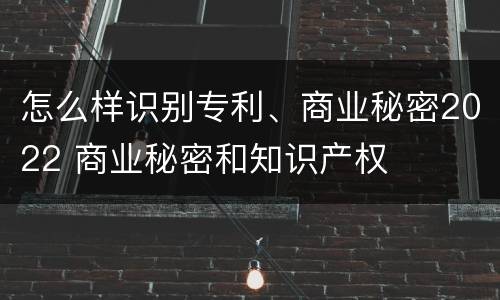 怎么样识别专利、商业秘密2022 商业秘密和知识产权