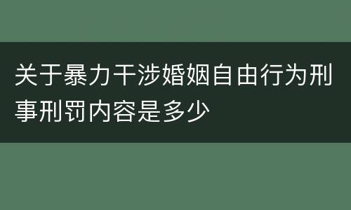 关于暴力干涉婚姻自由行为刑事刑罚内容是多少