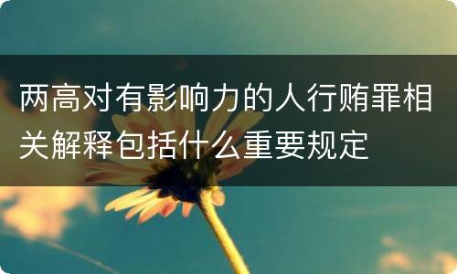 两高对有影响力的人行贿罪相关解释包括什么重要规定