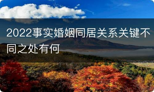 2022事实婚姻同居关系关键不同之处有何