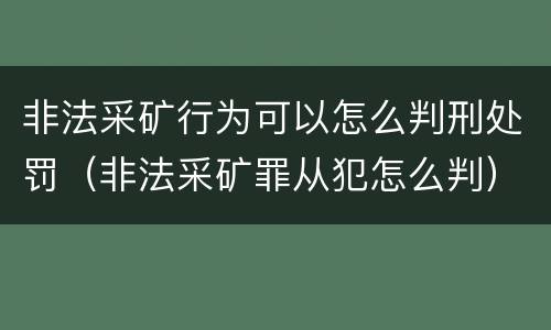 非法采矿行为可以怎么判刑处罚（非法采矿罪从犯怎么判）