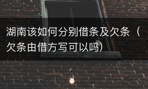 湖南该如何分别借条及欠条（欠条由借方写可以吗）