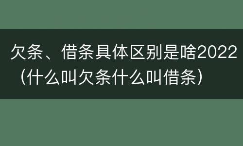 欠条、借条具体区别是啥2022（什么叫欠条什么叫借条）