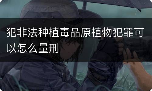 犯非法种植毒品原植物犯罪可以怎么量刑