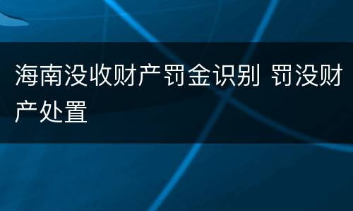 海南没收财产罚金识别 罚没财产处置