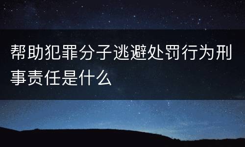 帮助犯罪分子逃避处罚行为刑事责任是什么